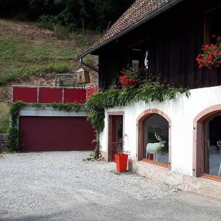 Le Moulin Des Automates Apartman Fréland Kültér fotó