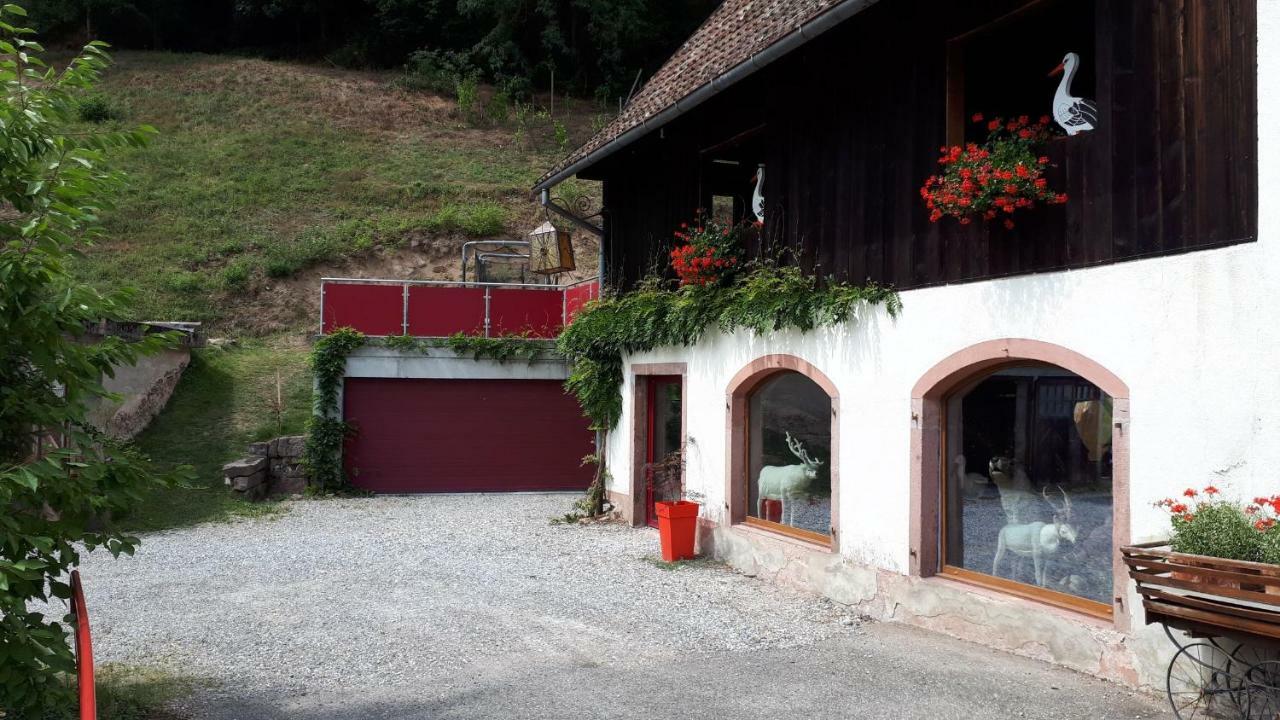 Le Moulin Des Automates Apartman Fréland Kültér fotó